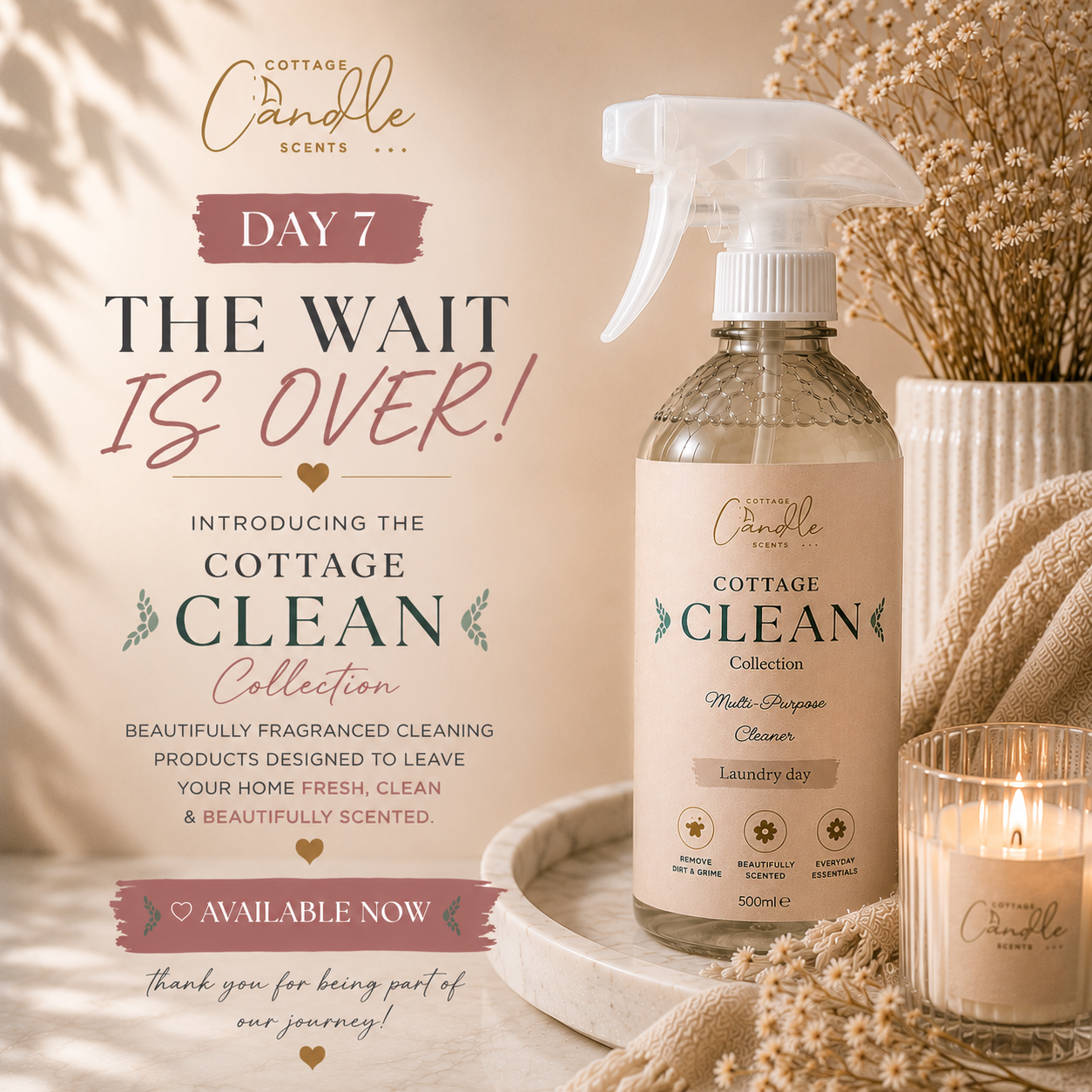 multi-purpose cleaner